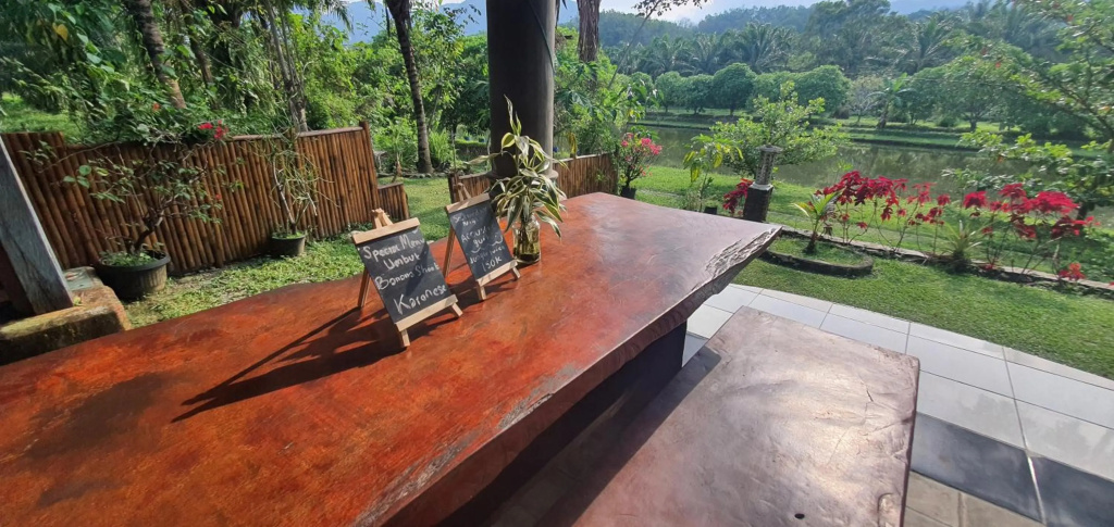 Sumatra Monkey Trekking