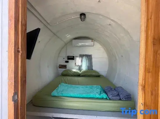 Standard Capsule