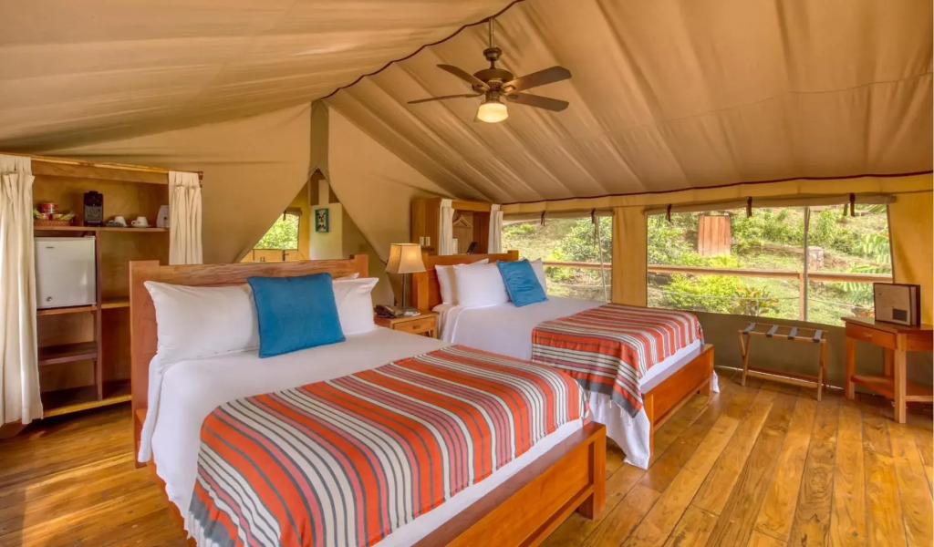 Isla Chiquita Glamping Hotel - фото 4