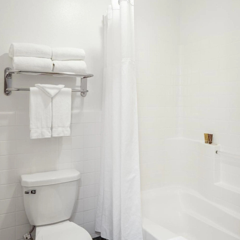 Ayres Suites Mission Viejo – Lake Forest - Général
