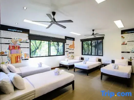 Standard Quintuple Family room
