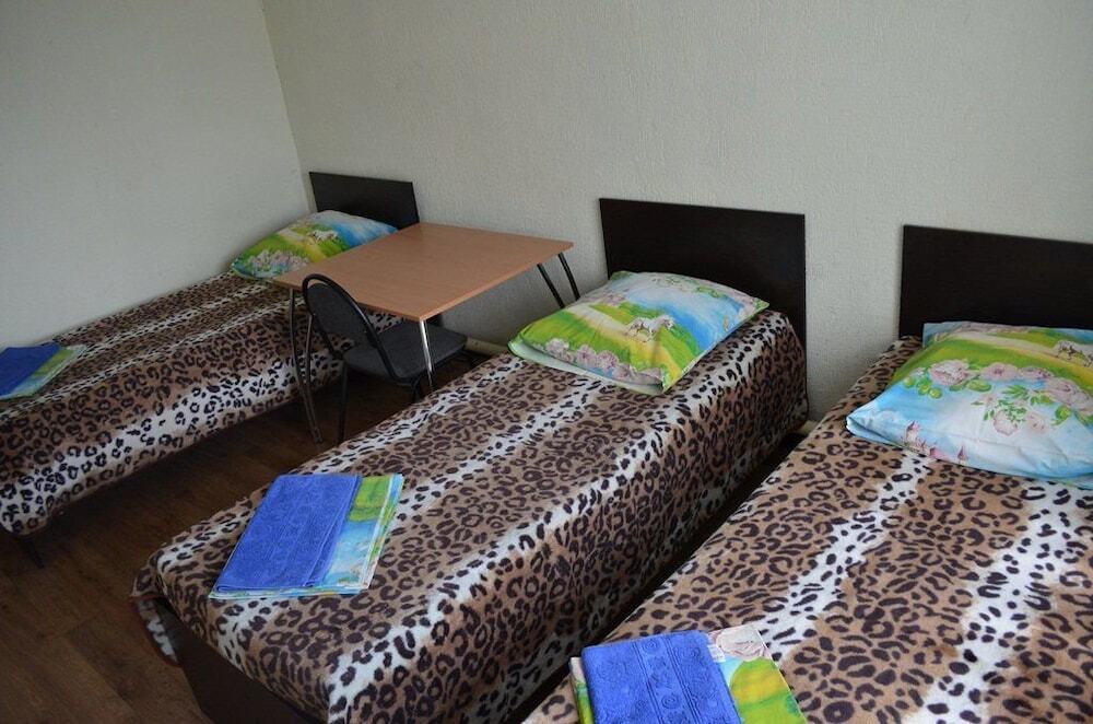 Номер Economy в Дорожная