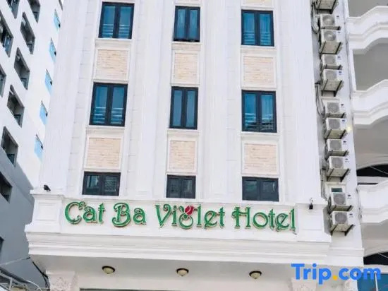Cat Ba Violet Hotel And Apartment