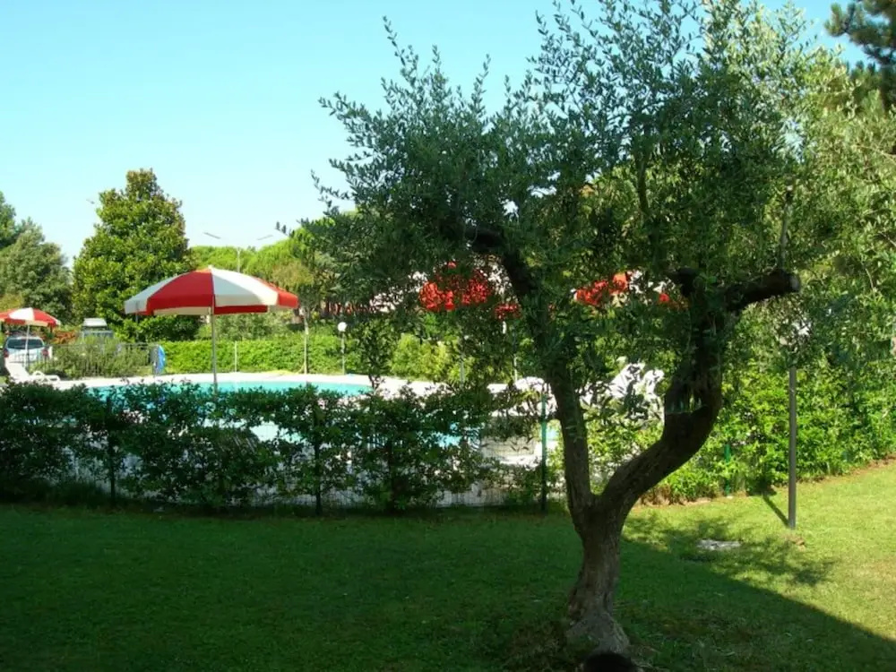Olive Orchard Gardened Apartment With Shared Pool