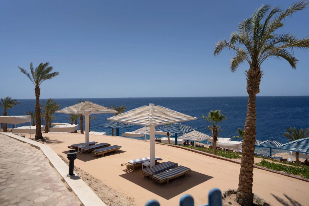 Resort Grand Oasis Resort: Relax on shaded sun loungers overlooking the sea from a palm-lined terrace.