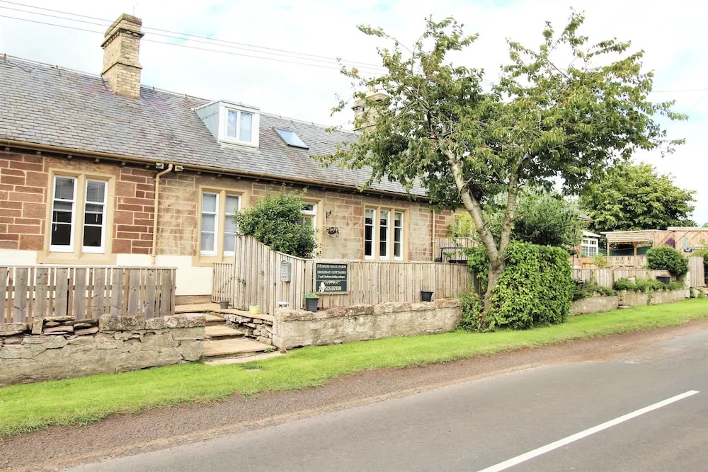 3 Bedrooms - 2 Bath Rooms - Dog Friendly - Parking