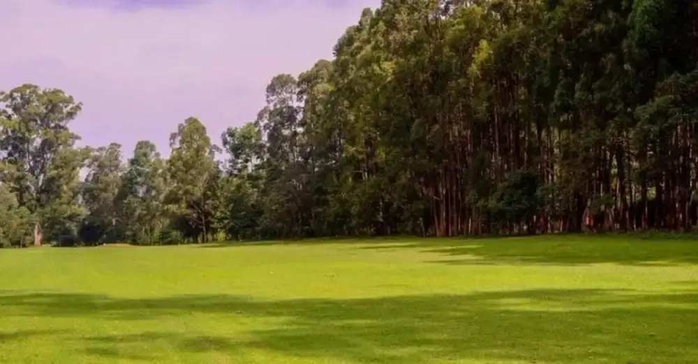 Kusi hotel Kakamega