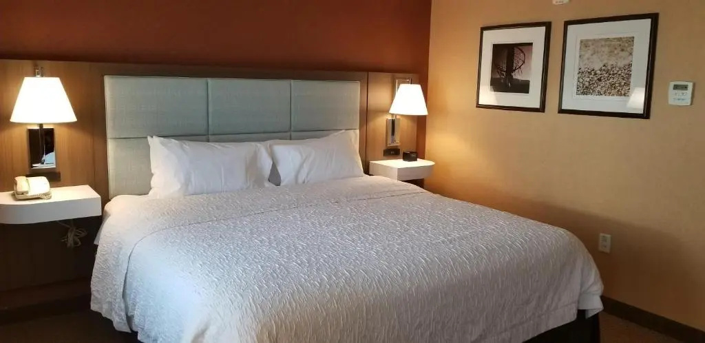 Hampton Inn & Suites Boston Crosstown Center - Chambres
