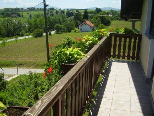 Balcony & Terrace