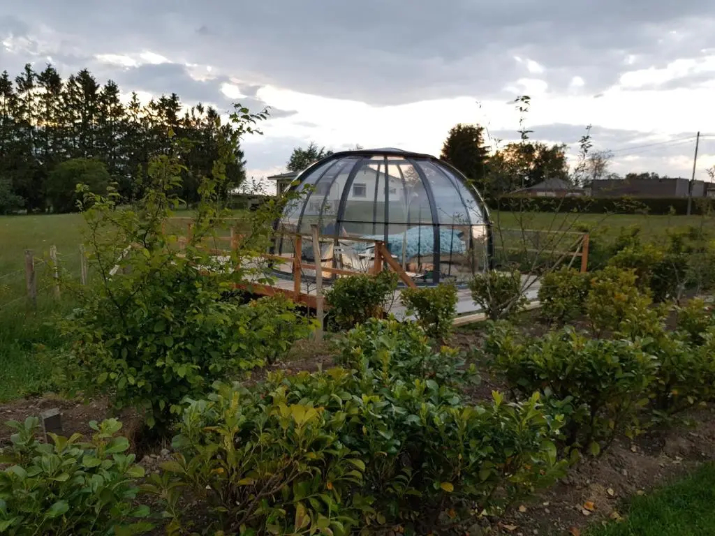 La bulle au bois dormant d'ovifat - фото 12