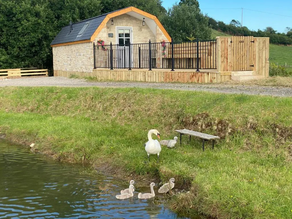 Gorestown Glamping Chalets