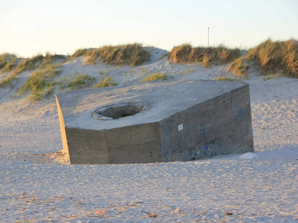 4 Person Holiday Home in Blavand