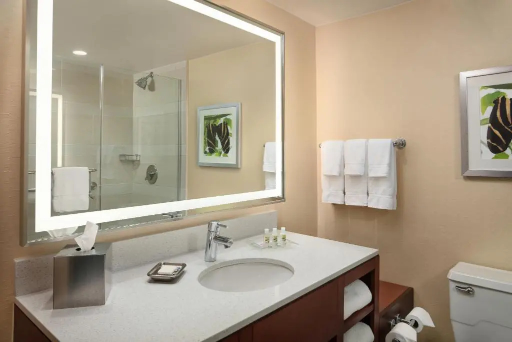 Holiday Inn Austin -Town Lake by IHG - Chambres