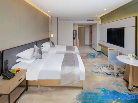 Deluxe Double room with city view (twin beds)