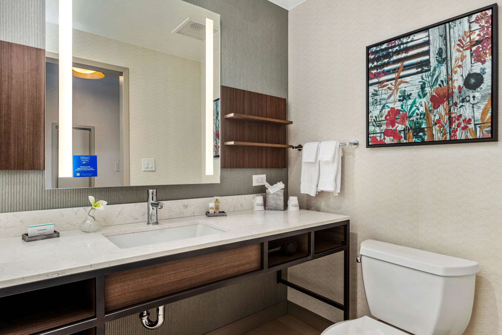 Hilton Garden Inn New Orleans French Quarter/CBD - Général
