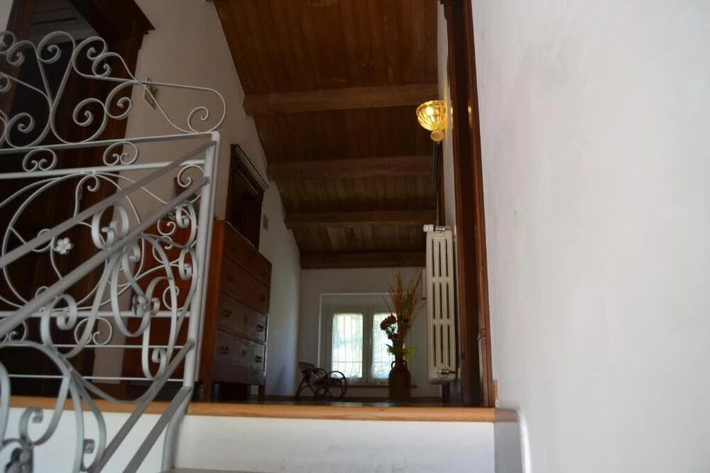 Image 14