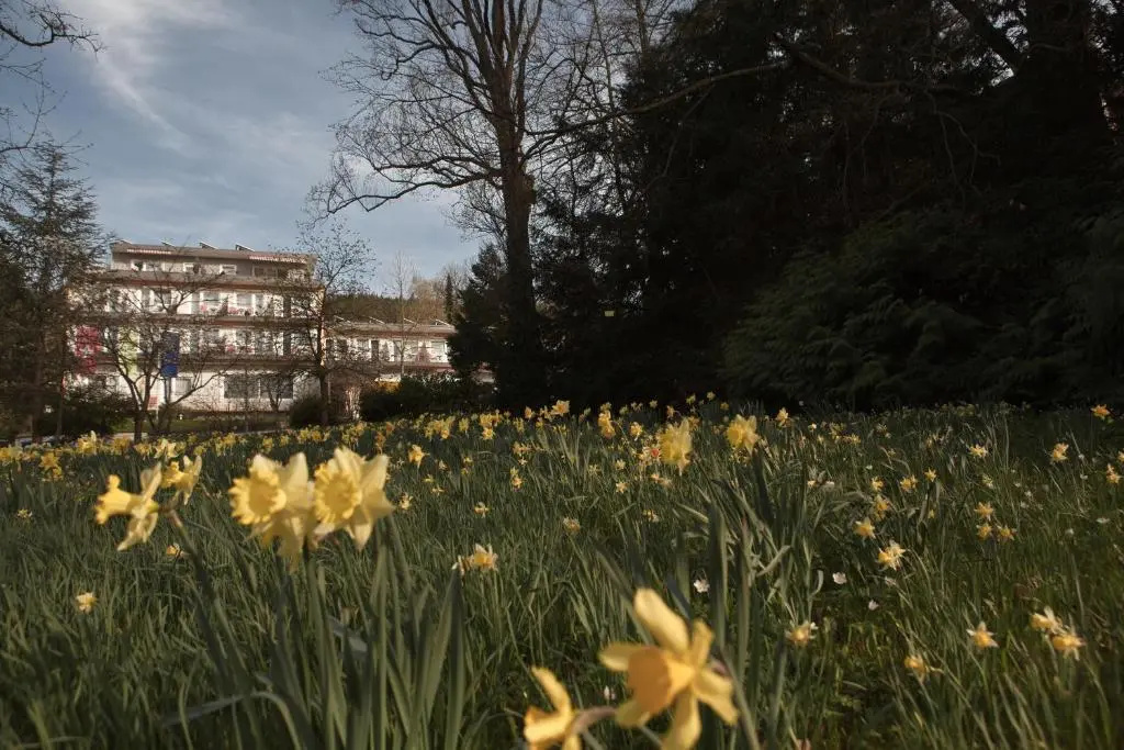 Balance-Hotel am Blauenwald - Général