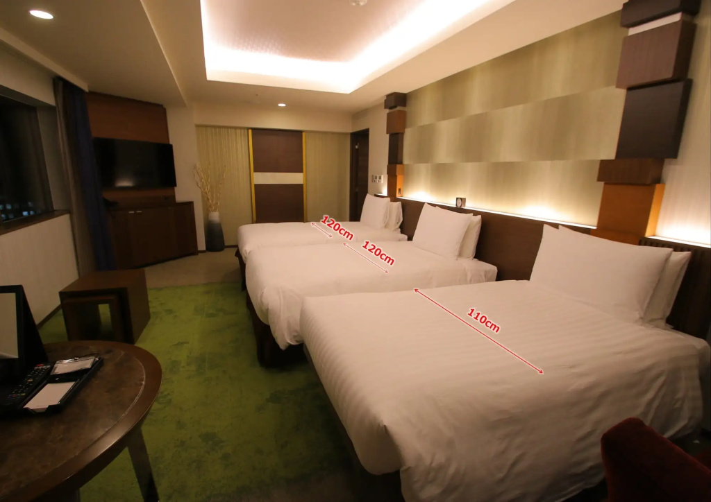 Richmond Hotel Premier Tokyo Schole - Général