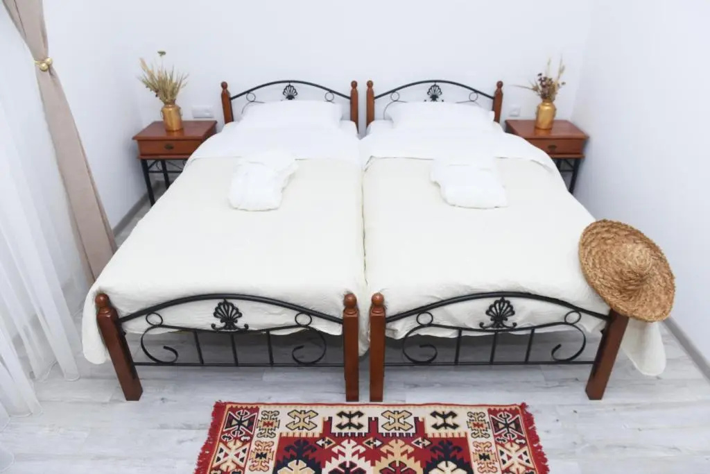 Standard Double room with mountain view (twin beds)