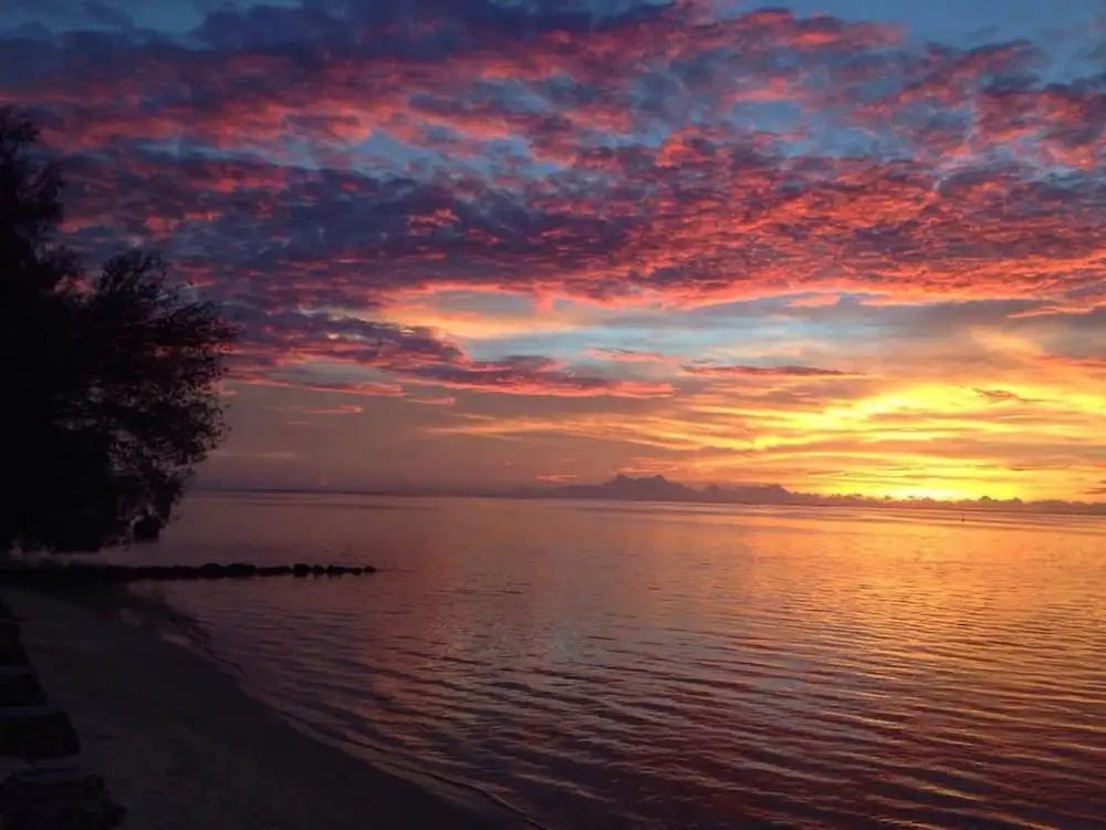 Charming 1BR Guesthouse in Beautiful Moorea