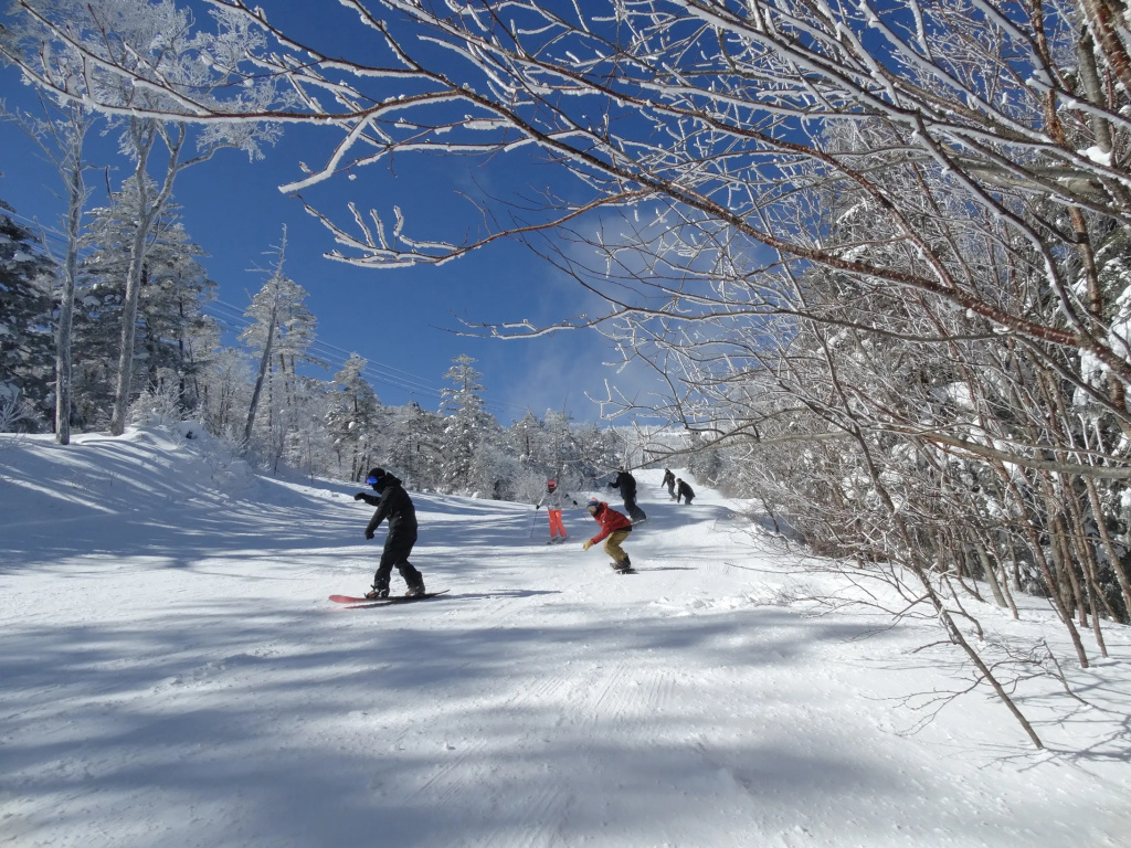 Palcall Tsumagoi Resort - Général