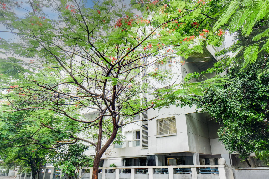 Collection O Balewadi formerly Woods Regency
