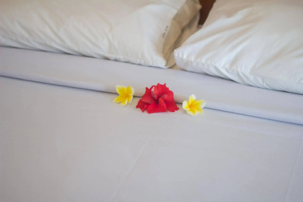 Hotel photo 42