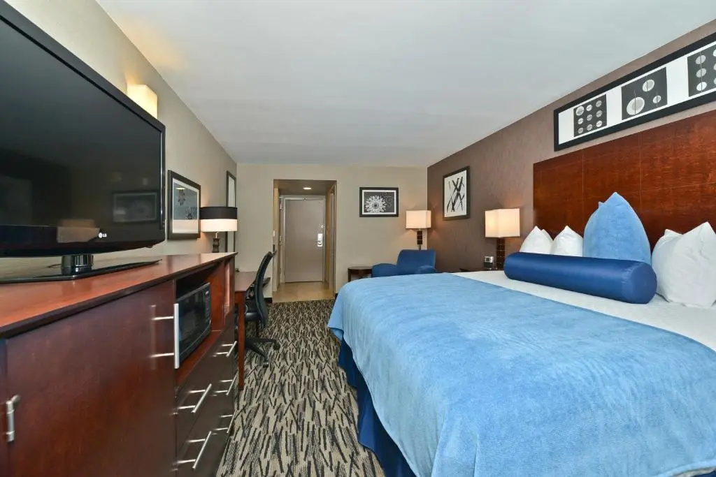 Wyndham Garden Elk Grove Village/O'Hare - Chambres