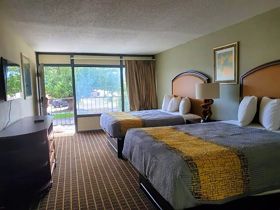 Palmetto Inn & Suites - Chambres