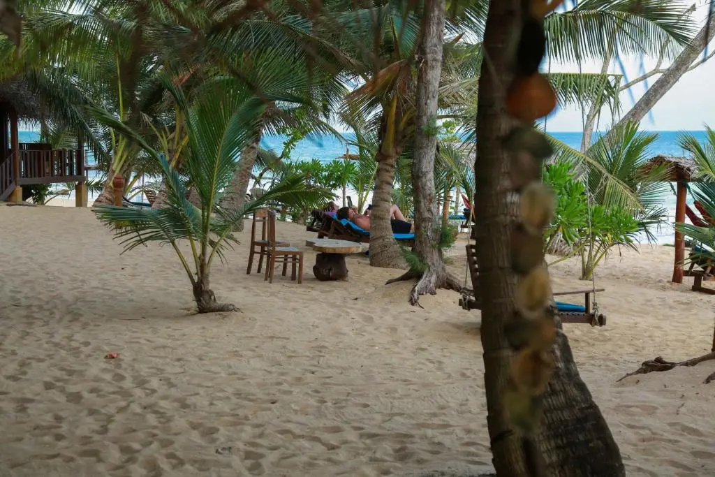 Seagulls Beach & Garden Cabanas - Chambres