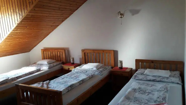 Hot-l Mini - фото 6