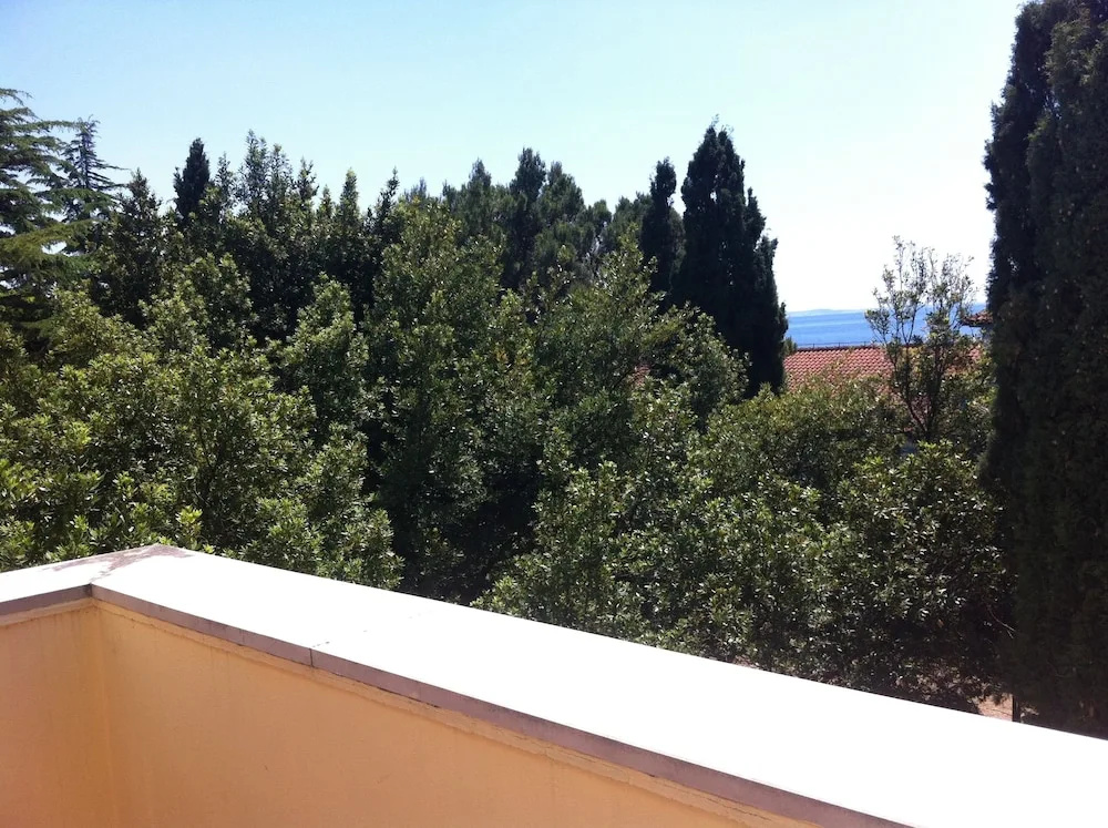 Suite with park view