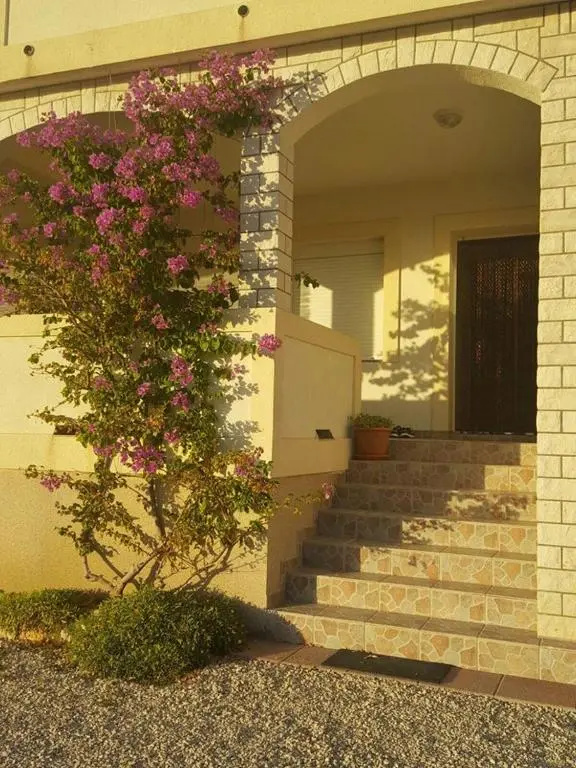 Apartmani Luka