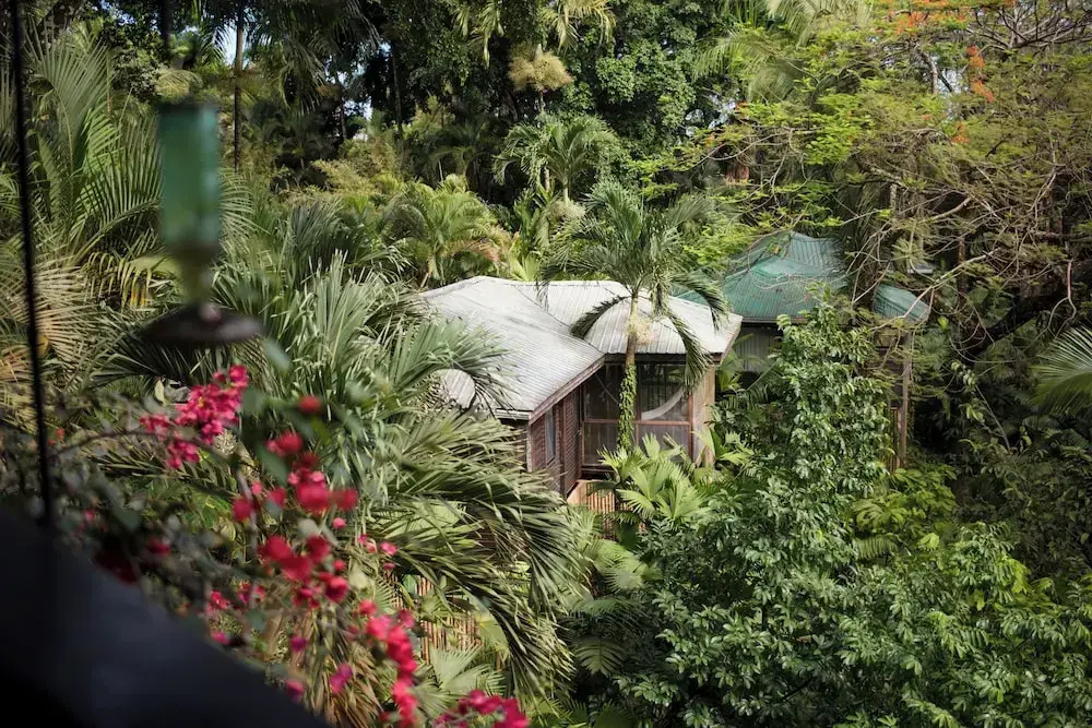 Copal Tree Lodge, a Muy'Ono Resort - Chambres