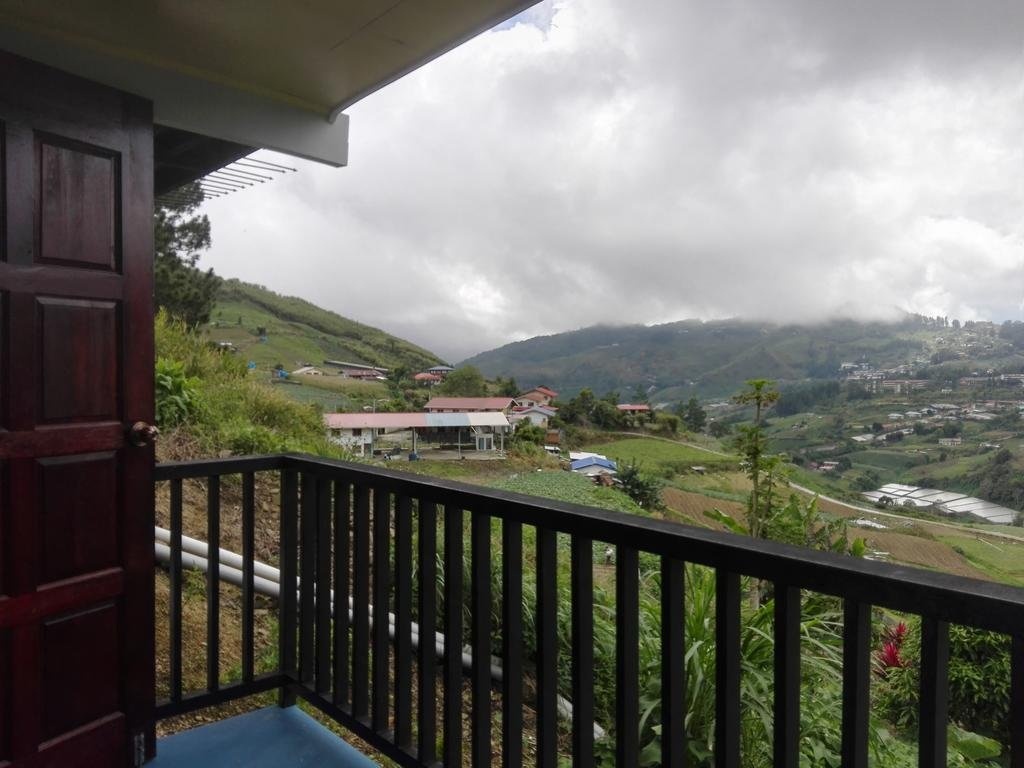Balcony & Terrace