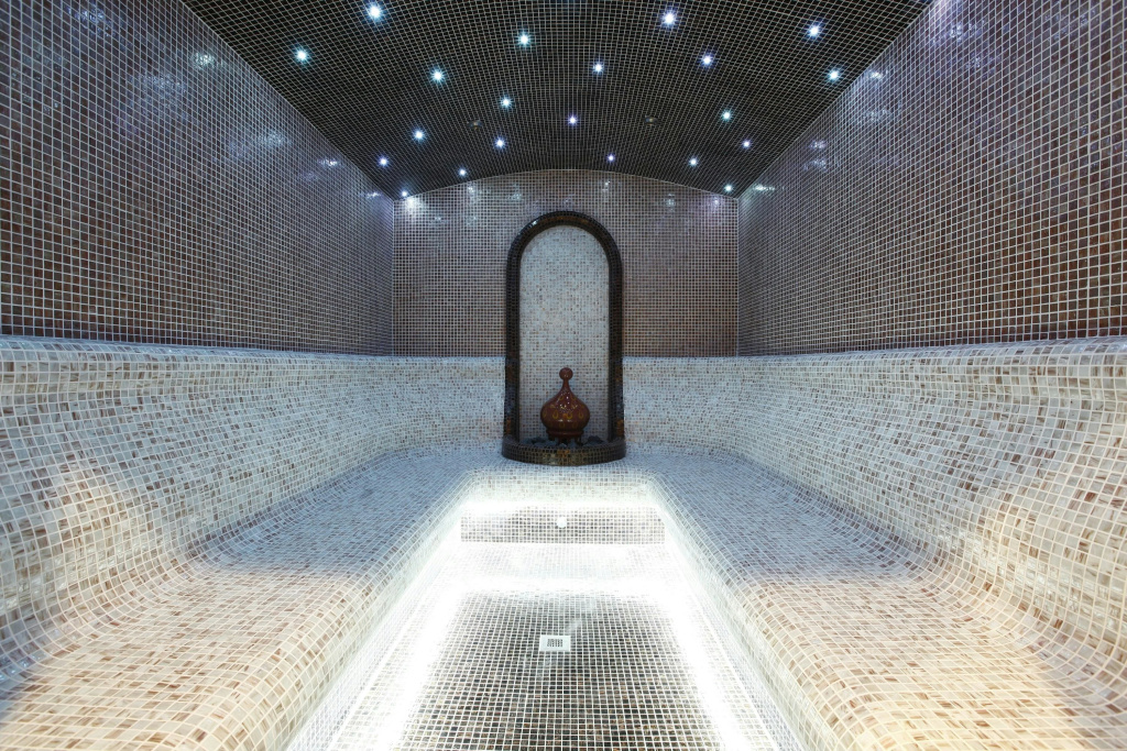 Aleksandar Palace Hotel & Spa - Général