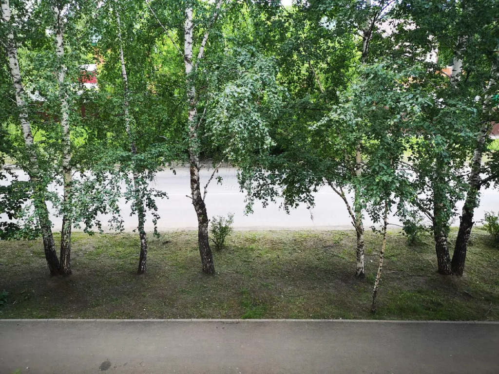 Калина на улице Мира 13 - фото 10