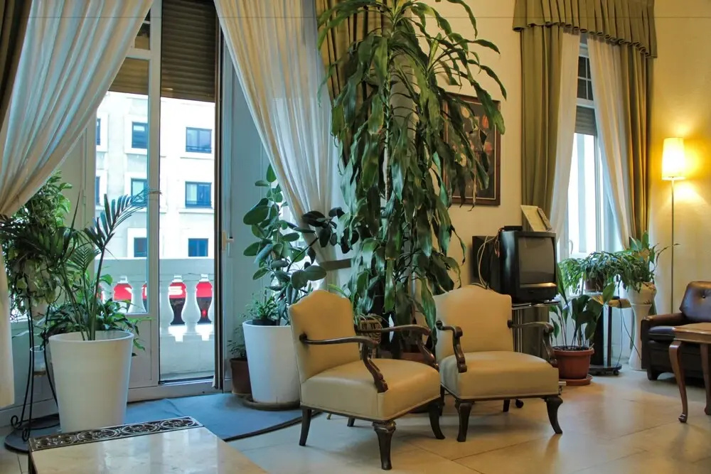Hotel photo 13