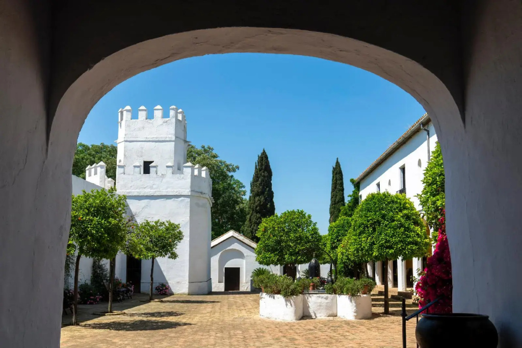 Cortijo Torre de la Reina - Général