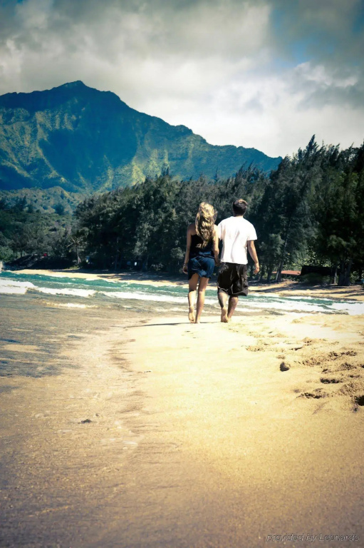 Hanalei Colony Resort - Général
