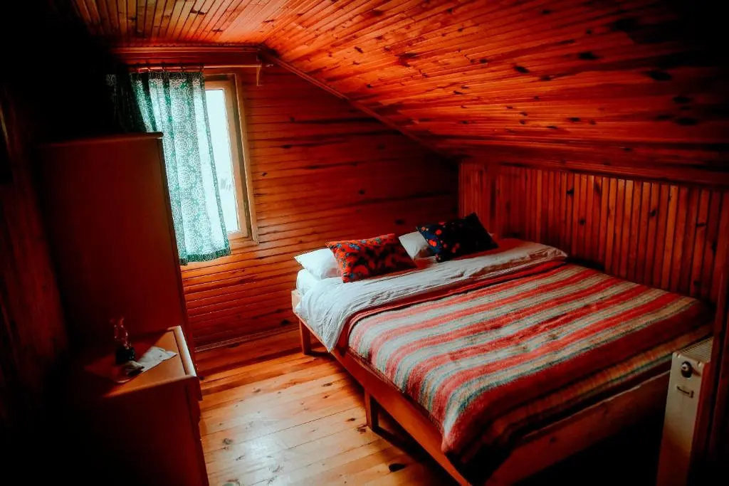 Standard Double room with mountain view (full double bed)