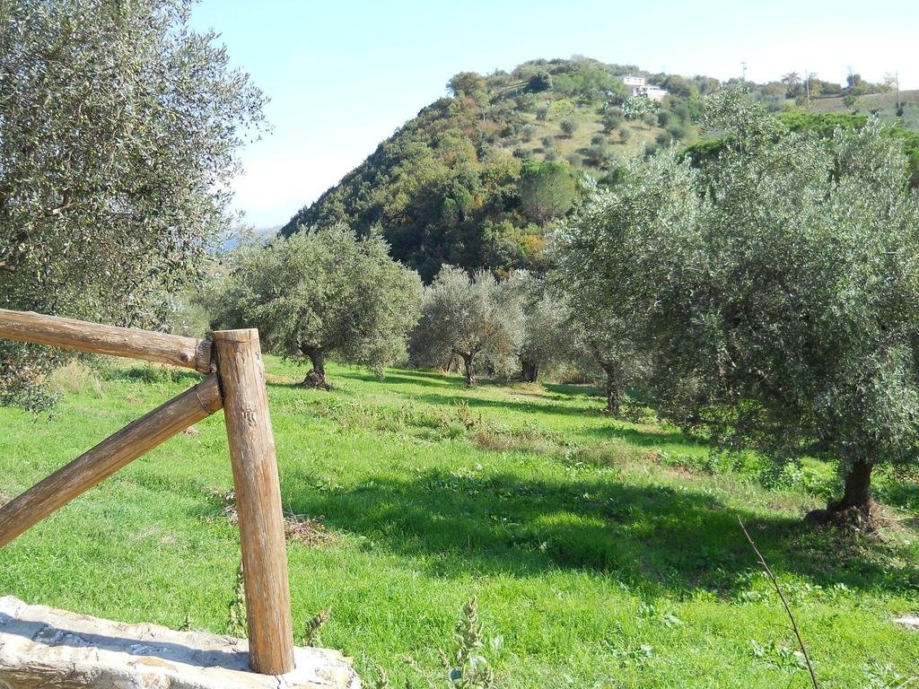 Mandria Del Dottore Toscano