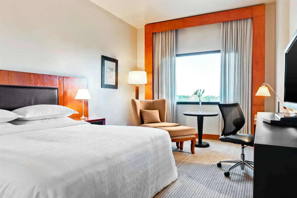Sheraton Asuncion Hotel - Général