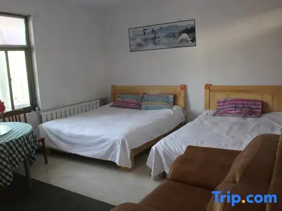 Standard Double room (twin beds)