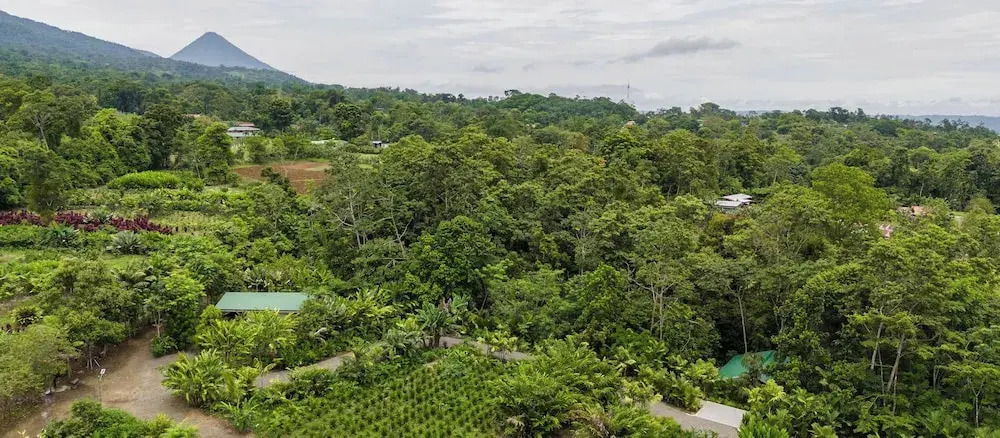 Secret Bungalows Lechu - фото 21