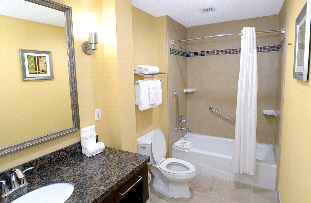 Holiday Inn Hotel & Suites San Mateo-San Francisco SFO by IHG - Général