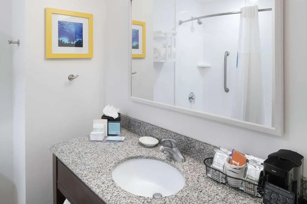 Hampton Inn & Suites Atlanta-Downtown - Chambres