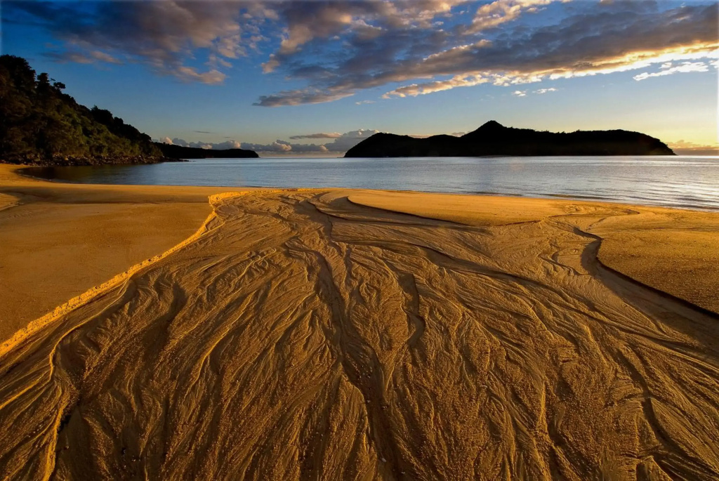 Abel Tasman Lodge - фото 16