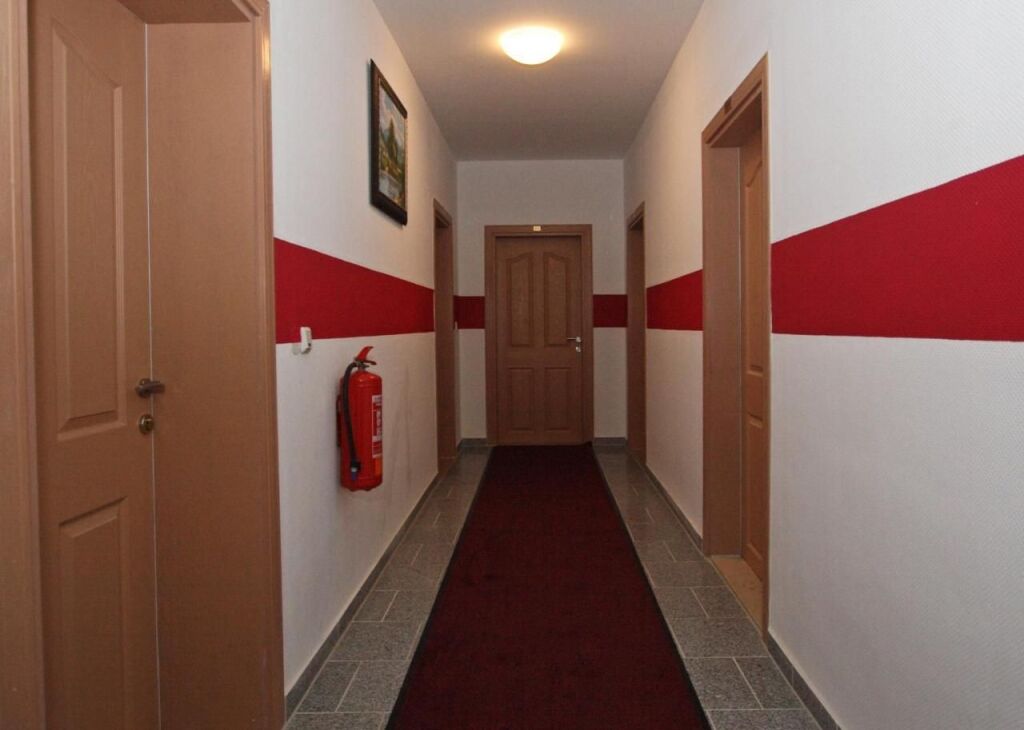 Image 8