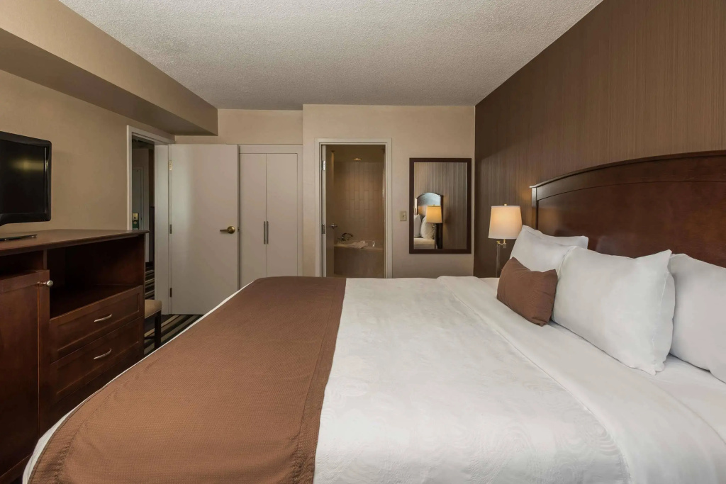 Best Western Plus Winnipeg Airport Hotel - Général